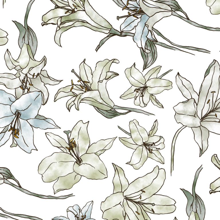 contrado 2 copy copy